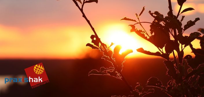 hakvk_Sonnenaufgang_cut2