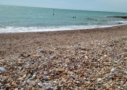 Suette_Brighton2017 (25)